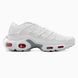 Nike Air Max TN Plus White nik-0461-769310 фото 1
