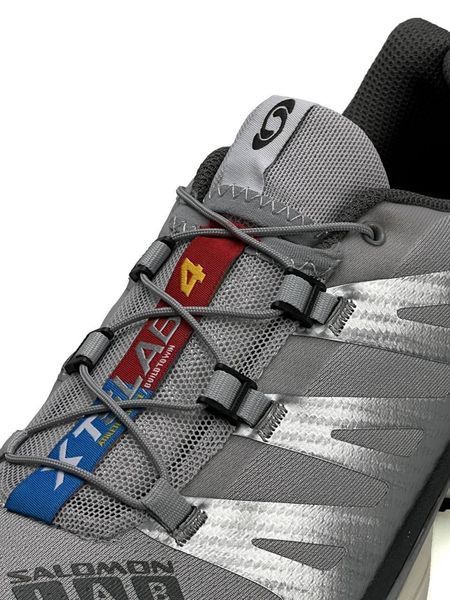 Salomon XT-4 Carbon Silver Beige A3635-1028557 фото