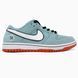 Nike SB Dunk Low Gulf Blue/Orange nik-0580-1013545 фото 1