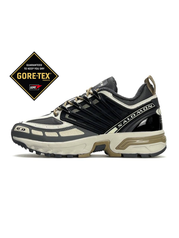 Salomon ACS Pro GTX Grey Beige Black А4737-1302430 фото