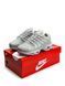 Nike Air Max Terrascape WMNS Plus Grey В3043-835807 фото 9