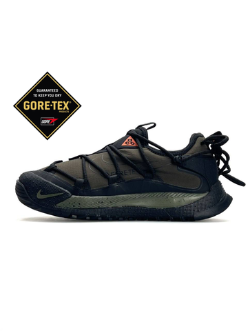 Nike ACG Terra Antarktik Low GTX Khaki А4520-1237768 фото
