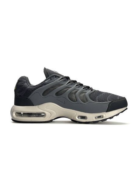 Nike Air Max Terrascape Plus Grey Beige A3941-1087592 фото