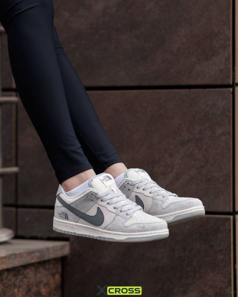 Nike SB Dunk Low x The North Face ND NK350-1562176 фото