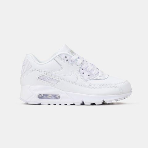 Air Max 90 White (сітка) #art1084-539495 фото