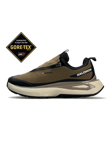 Salomon Odyssey ELMT Advanced GTX Brown A3174-872660 фото