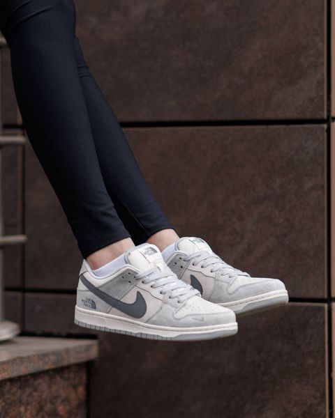 Nike SB Dunk Low x The North Face ND NK350-1562181 фото