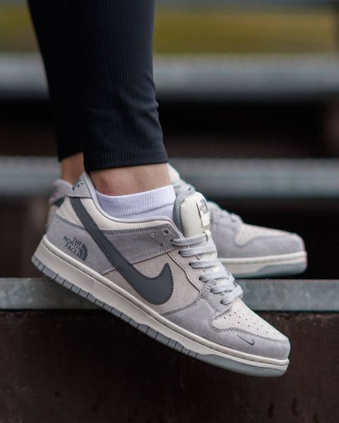 Nike SB Dunk Low x The North Face ND NK350-1562181 фото