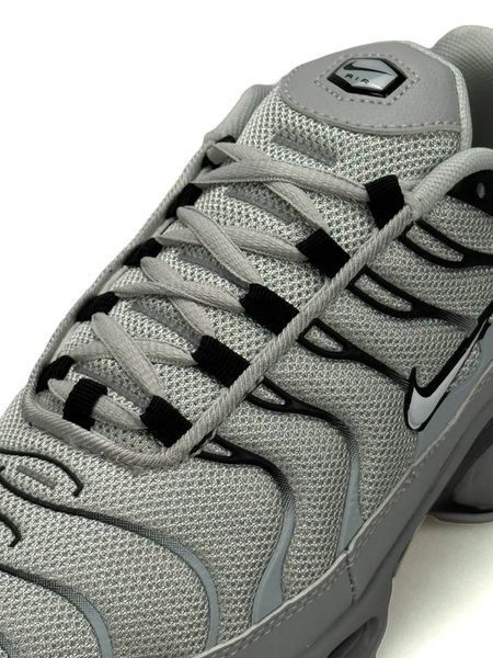 Nike Air Max Plus Tn Pale Grey А5687-1678325 фото
