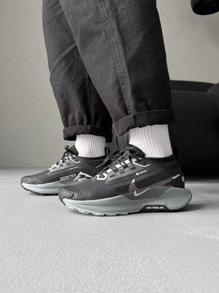 Nike Pegasus Trail 5 Gore-Tex Black/Crey nik-0683-1294464 фото