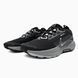 Nike Pegasus Trail 5 Gore-Tex Black/Crey nik-0683-1294464 фото 2