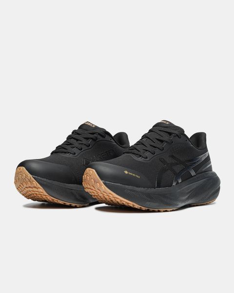 Asics Gel-Kayano 30 Gore-Tex Black Q250-1259792 фото