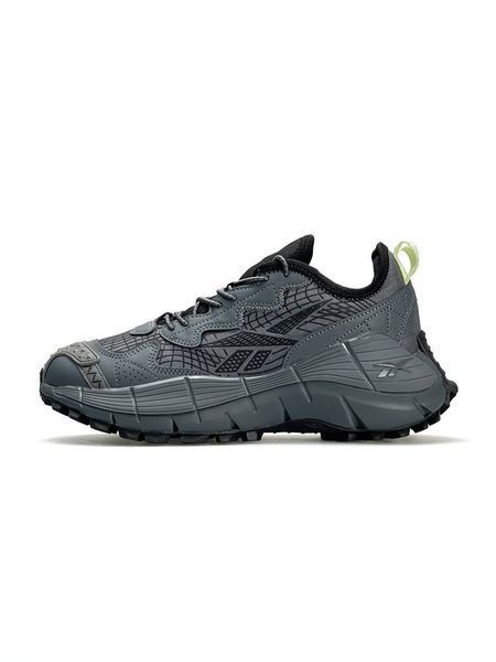 Reebok Zig Kinetica 2.5 Edge GTX Grey А3311-931789 фото