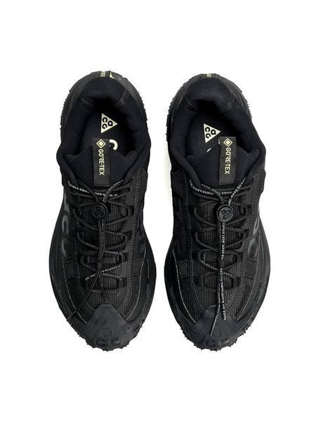 Nike ACG Mountain Fly 2 Low Black A3998-1105071 фото