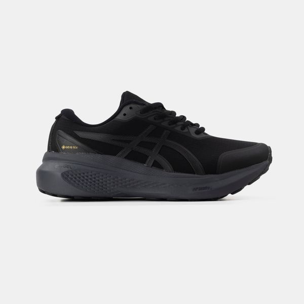 Asics Gel-Kayano 30 Gore-Tex Black #art1405-1025880 фото