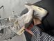 Nike Air Jordan 4 Craft Photon Dust nik-0577-1013371 фото 3
