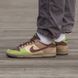 Nike Dunk Alloha 1586-673185 фото 1