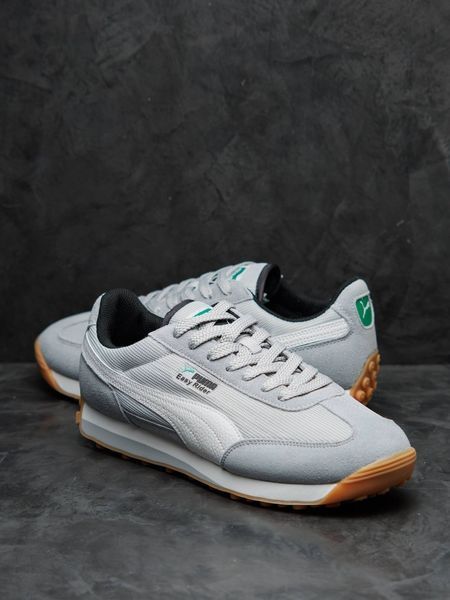 Puma Easy Rider Grey White ND PM037-1526037 фото
