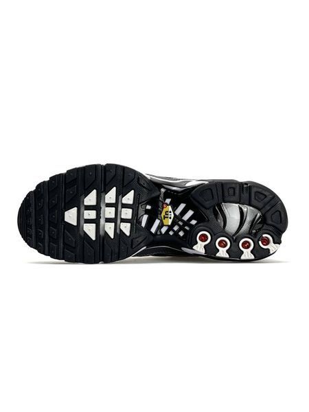 Nike Air Max Plus New Grey A3710-1052259 фото