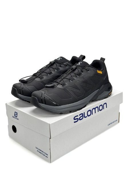 Salomon X-Adventure GTX Black Grey A6002-1764399 фото