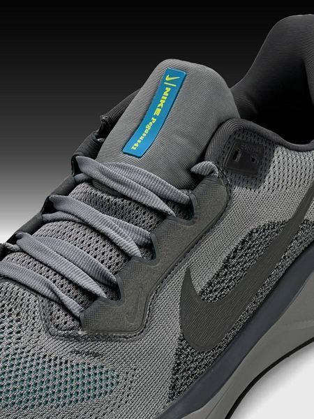 Nike Air Zoom Pegasus 41 Grey A4060-1137310 фото