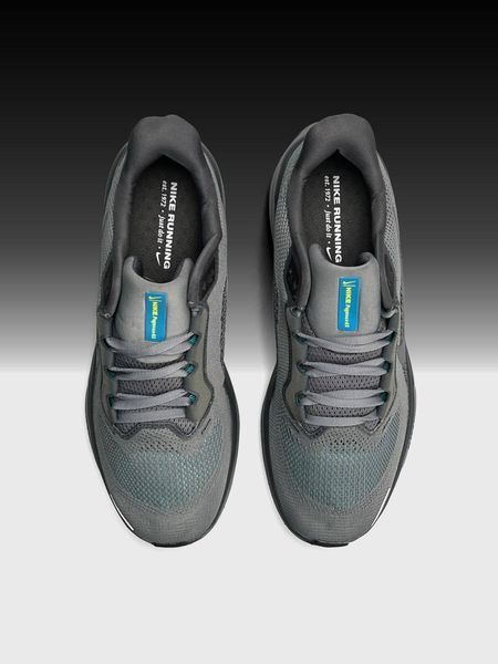 Nike Air Zoom Pegasus 41 Grey A4060-1137310 фото