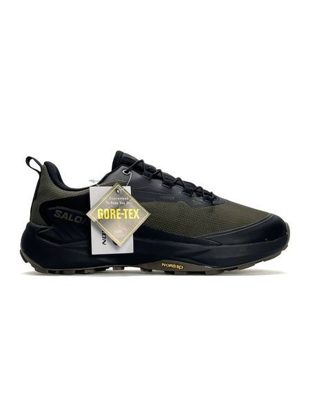 Salomon Genesis GTX Khaki Black A4596-1253114 фото