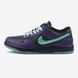 Nike Dunk Low LTD Wizard Limited 0317-1440705 фото 1
