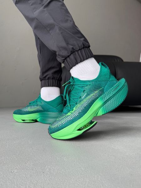 Nike Air Zoom Alphafly Next% 2 Green nik-0599-1050158 фото