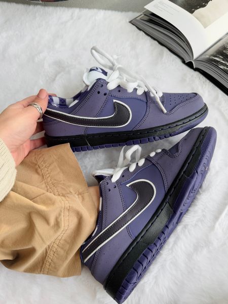Nike SB Dunk Purple nik-0418-513029 фото