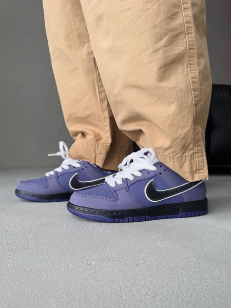 Nike SB Dunk Purple nik-0418-513029 фото