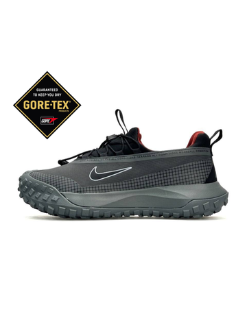 Nike ACG Mountain Fly Low GTX Grey А4682-1263808 фото