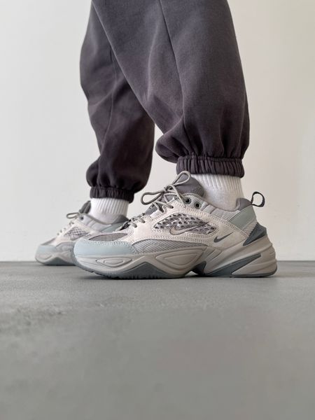 Nike M2K Grey nik-0512-911030 фото