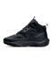 Salomon Elixir Activ Fur All Black А4780-1318425 фото 2