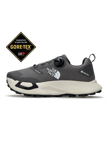 The North Face Vectiv Enduris 4 GTX Grey Beige Black A6120-1797624 фото