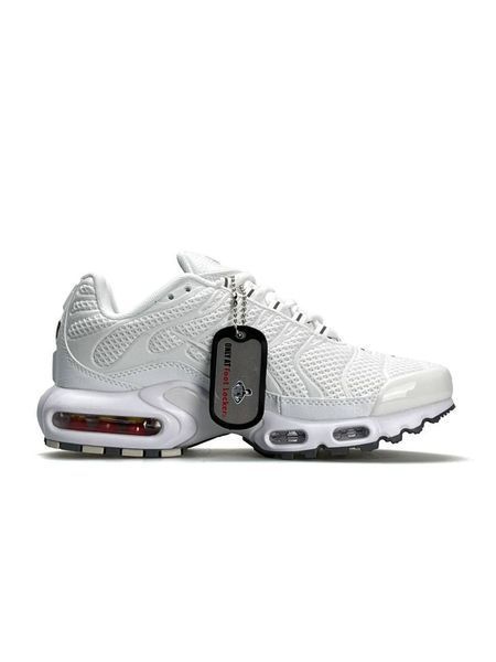 Nike Air Max Plus White Silver B3750-1055127 фото