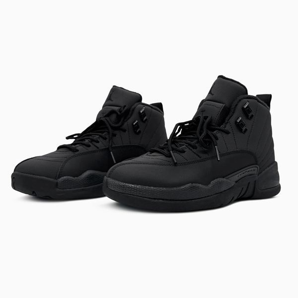 Nike Air Jordan 12 Black nik-0766-1482878 фото