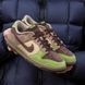 Nike Dunk Alloha 1586-673178 фото 2