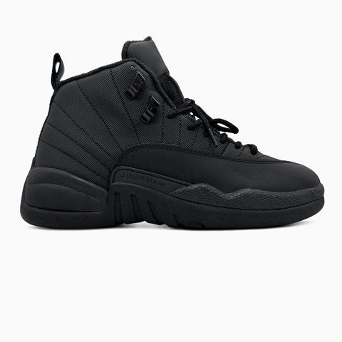 Nike Air Jordan 12 Black nik-0766-1482882 фото