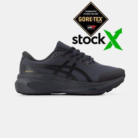 Asics Gel-Kayano 30 Gore-Tex Gray #art1403-1025864 фото