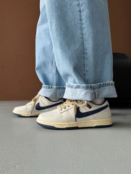 Nike SB Dunk Low Stranger Things Phantom nik-0804-1524072 фото