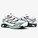 Salomon XT-6 Advanced "White Icy Morn" 231-764518 фото 9