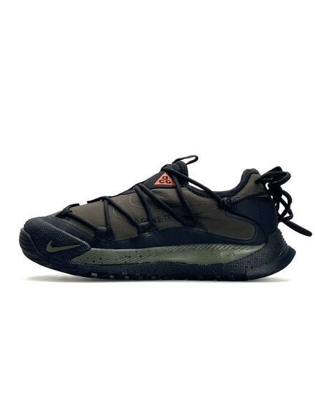 Nike ACG Terra Antarktik Low GTX Khaki А5901-1736392 фото