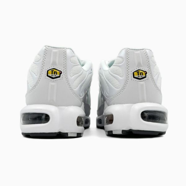 Nike Air Max TN Plus White/Grey nik-0469-800928 фото
