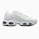 Nike Air Max TN Plus White/Grey nik-0469-800928 фото 3